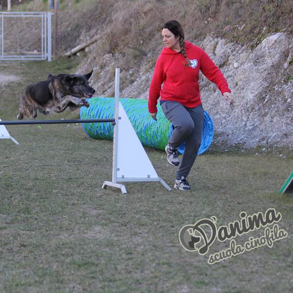 Agility - Scuola Cinofila D'Anima